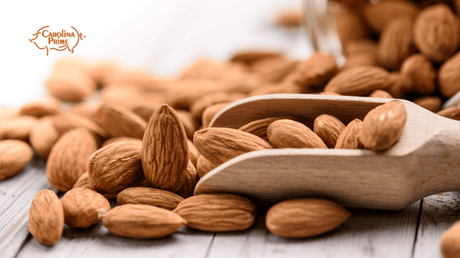 A closeup shot of almond nuts spread on a wooden table with a scoop.