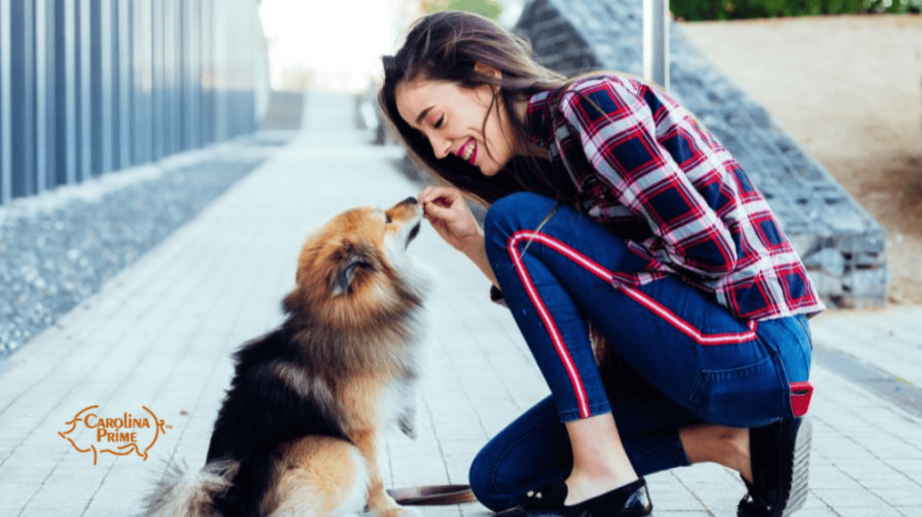 Dog owner feeding her dog a treat.