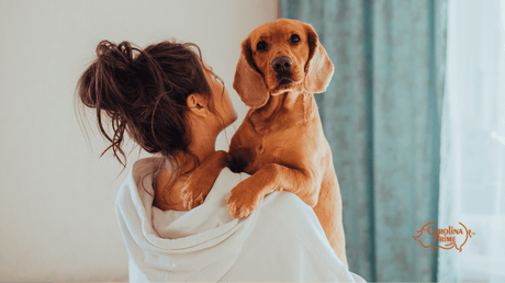 Image a dog being held by a woman.