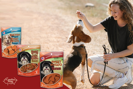 Owner feeding her dog with sweet potato dog treats.