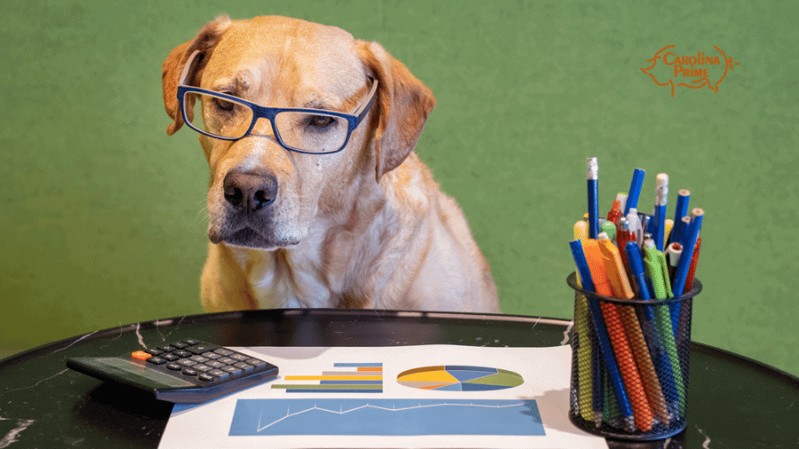 Image of a dog wearing glasses, looking at a table with office things like pencils and calculators.