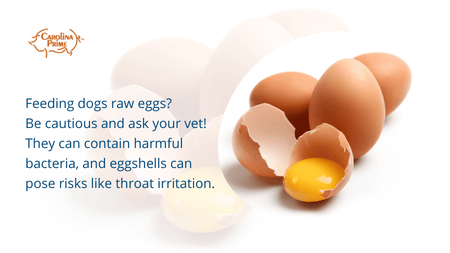 Raw eggs with a quote from the article next to them.